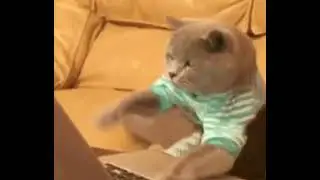 Что за... (4)
