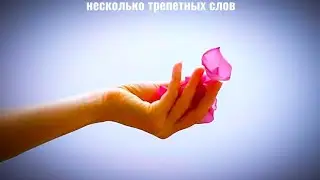 Женщины