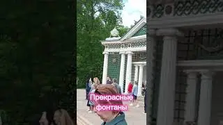 Живая музыка Петергоф