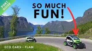 Flam Shore excursion: eMobility Flam Twizzy Eco Cars - everything you need to know