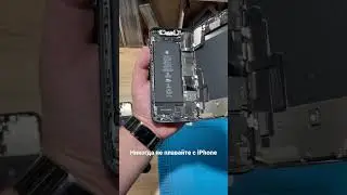 iPhone 11 утонул