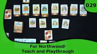 ForNorthWood! Solo Playthrough | 29 | Small Box, Big Game