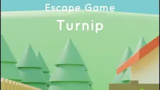 Escape Game : Collection by Nicolet Turnip Walkthrough
