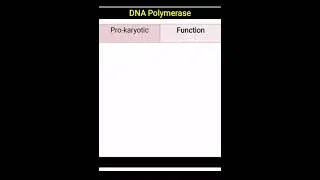 Bacterial DNA Polymerase