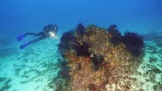 Mots d'amour à la mer.