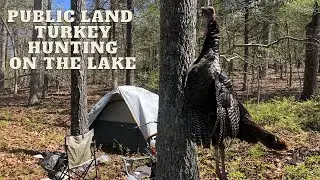 Turkey Hunting Public Land on the Lake