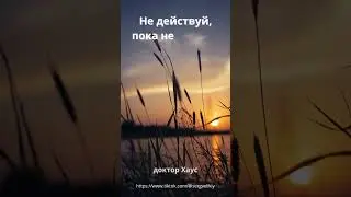 Цитаты доктора Хауса 3