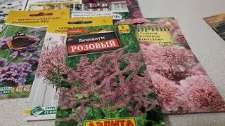 Семена цветов на сезон 2024.