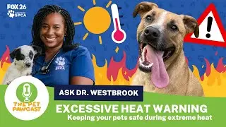 The Pet Pawcast - Pet Safety in Hot Weather