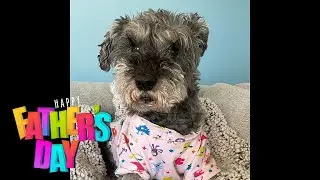 Dad Jokes for Father' s Day