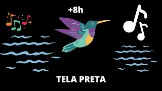 Música Relaxante com sons da natureza