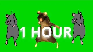 Dancing Rat Meme 1 Hour Loop (Green Screen)