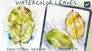 Painting Leaves in Watercolor in Procreate and with Traditional Medium - Skillshare Class Preview