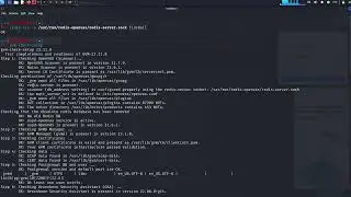 Could not connect to Redis at /var/run/redis-openvas/redis-server.sock: No such file or directory