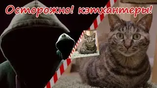 ОСТОРОЖНО! КЭТХАНТЕРЫ! КАК ЗАЩИТИТЬ СВОЕГО ПИТОМЦА  CAUTION! CATHANTERS!