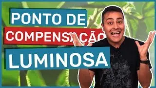 Ponto de Compensação Luminosa | PCL | Prof. Paulo Jubilut