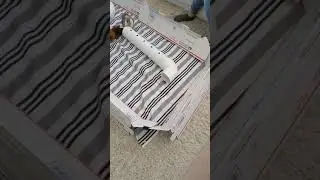 モルモットの部屋んぽ
