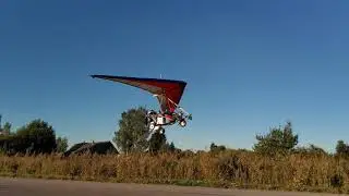 Птица ГрАч