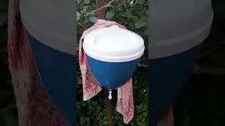 На даче. Июль 22 года