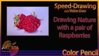 Raspberries Speed Drawing with Voice Over | Nature with Colored Pencil
