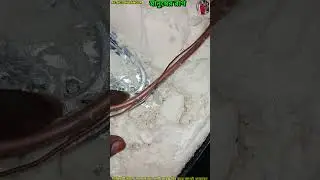 সেই ফ্রিজ মনে আছে কী ঠিক করে দিলাম 