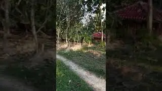 Ziarah Makam Mbah Syakur