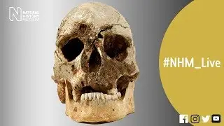 Who was Cheddar Man? | 