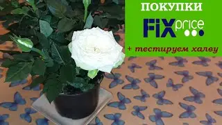 ФИКС ПРАЙС покупки. Пробуем халву