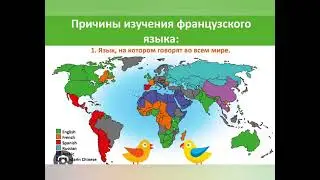 Как быстро выучить французский язык ❤️
