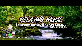 Relaxing Music | Instrument Kacapi Suling Sunda | Background Alam hidup | Cinematic video