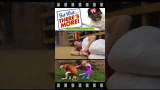 Running of the Bulldogs