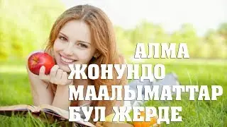 АЛМА ДЕН СООЛУКА ПАЙДА.