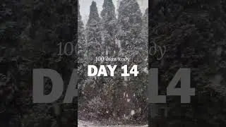 Day 14 | 100 #100daysofcode #programming
