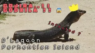 D'Lagoon | Perhentian Island |  Part IV