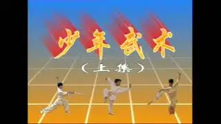 WUSHU BASIC TECHNIQUE