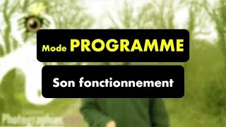 Comment utiliser le mode programme pour des photos parfaites en toutes circonstances