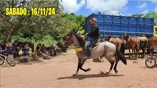 FEIRA DE CAVALO E ANIMAIS DE ABREU E LIMA-PE SÁBADO: 16/11/24