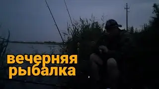 Вечерняя рыбалка.
