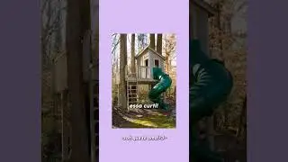 Qual casa na árvore vc prefere!?|ib: Me!#shortsviral #like #viralvideo #aestheticvideo #naoflopa