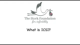What is ICSI?