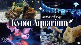 KYOTO AQUARIUM VLOG | METI JAPAN INTERNSHIP PROGRAM | METI INTERN VLOG 2022 #japan #kyoto #peace