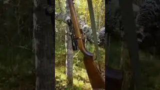 Рябчик. Сентябрь 2022