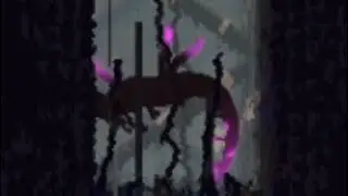 L I Z A R D S