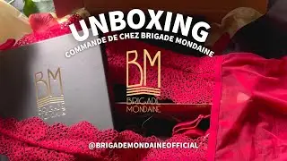 Unboxing de Brigade Mondaine