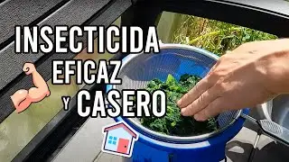 MATA todas las PLAGAS de tus plantas con el INSECTICIDA CASERO más eficaz || La Huertina De Toni