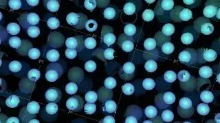 Blue and pink cells High quality 4k footage