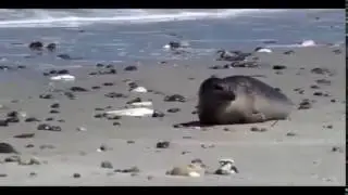 just chillin