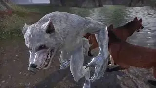 How to become a Werewolf in ESO