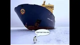 ВЫ УВЕРЕНЫ ЧТО ЭТО РЕАЛЬНО ИХ?