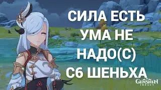 СИЛЬНЫЕ 30 ПИКСЕЛЕЙ С6 ШЕНЬХИ